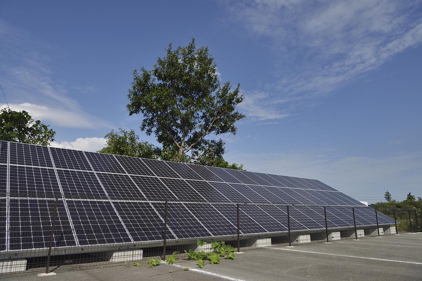 津営業所の駐車場脇に設置した太陽光発電設備。毎時300ワット発電のパネル（54枚設置）